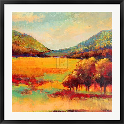 Framed Color Of Summer II Print