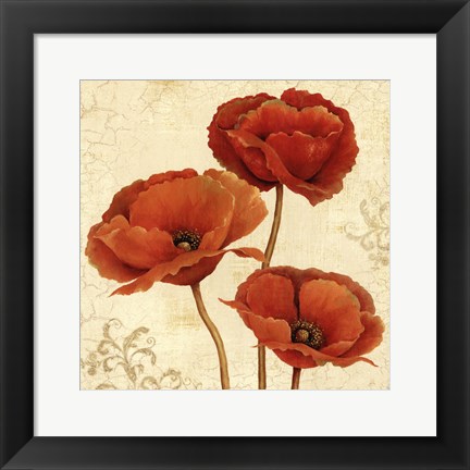 Framed Poppy Bouquet II Print