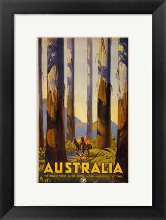 Framed Australia - Tallest Trees Print