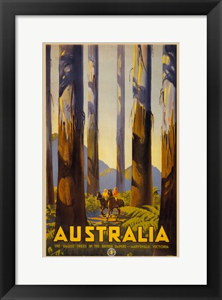 Framed Australia - Tallest Trees Print