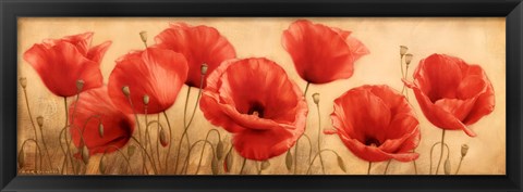 Framed Poppies Grace I Print