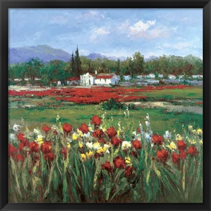 Framed Red Flower Field Print