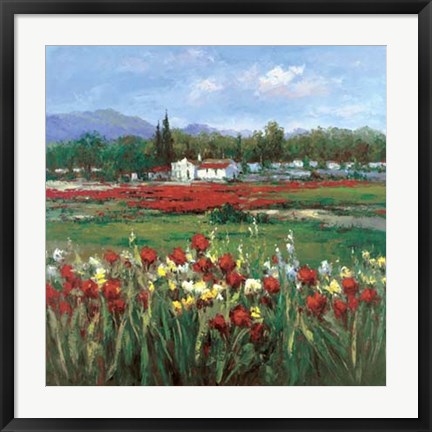 Framed Red Flower Field Print