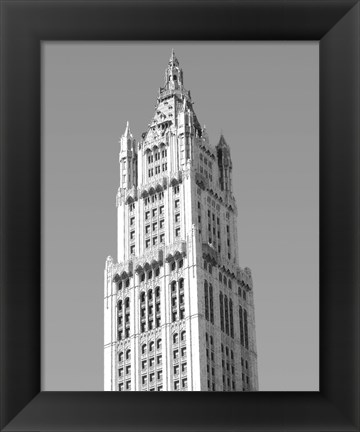 Framed Woolworth Building, NY Print