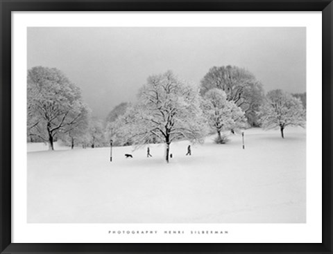 Framed Prospect Park Trees Print