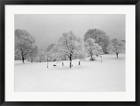 Framed Prospect Park Trees Print