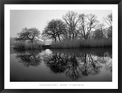 Framed Prospect Park Morning Print