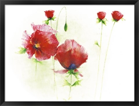 Framed Red Poppies I Print