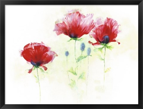 Framed Red Poppies II Print