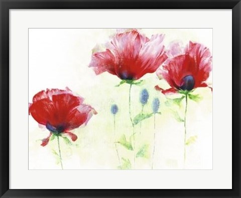 Framed Red Poppies II Print