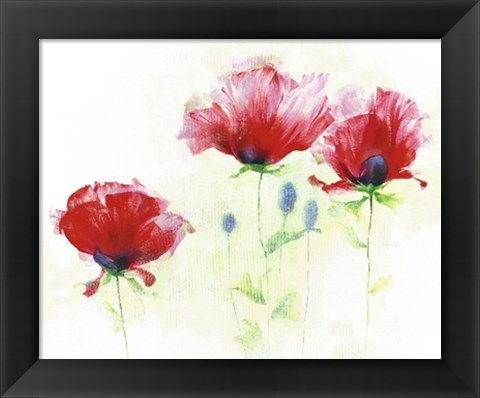 Framed Red Poppies II Print