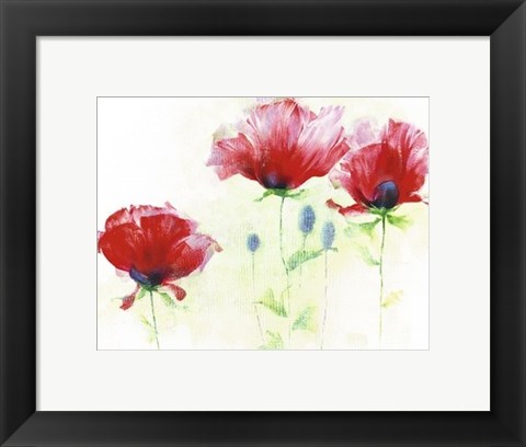 Framed Red Poppies II Print