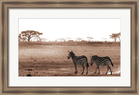 Framed Crossing The African Plains Print