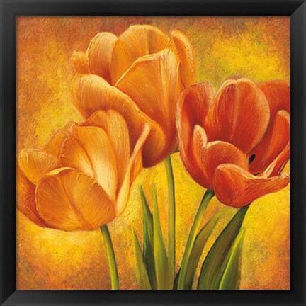 Framed Orange Tulips II Print