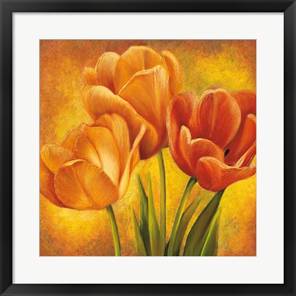 Framed Orange Tulips II Print