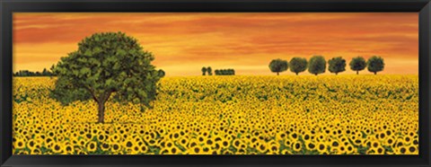 Framed Field of Sunflowers Print