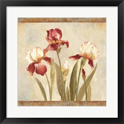 Framed Iris Tapestry II Print