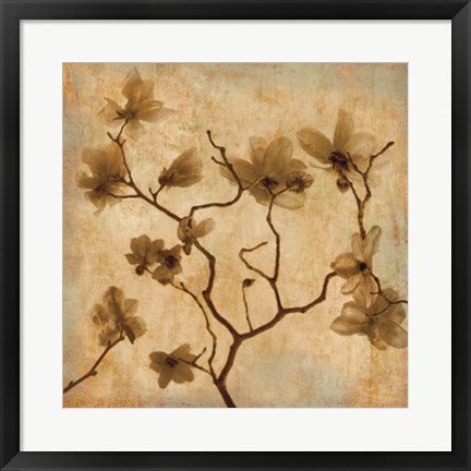 Framed Magnolias I Print