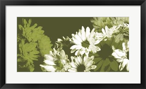 Framed Daisy Garden I Print