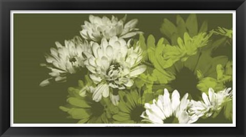 Framed Daisy Garden II Print