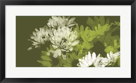 Framed Daisy Garden II Print