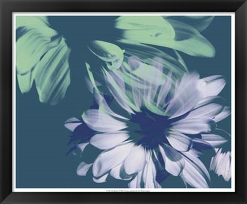 Framed Teal Bloom I Print