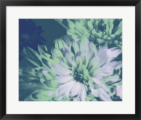 Framed Teal Bloom II Print