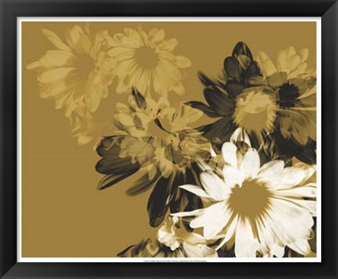 Framed Golden Bloom II Print