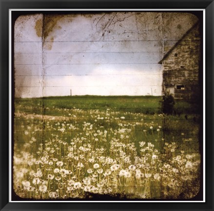 Framed Field II Print