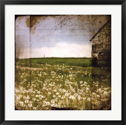 Framed Field II Print