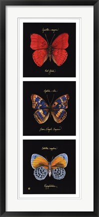 Framed Primary Butterfly Panel I Print