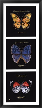 Framed Primary Butterfly Panel II Print