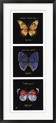 Framed Primary Butterfly Panel II Print