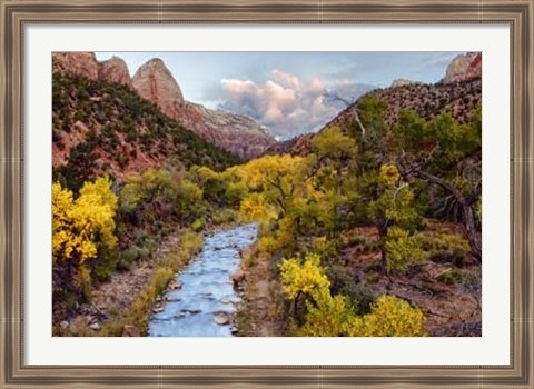 Framed Brilliant View I Print