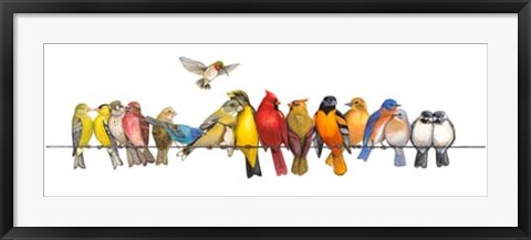 Framed Large Bird Menagerie Print