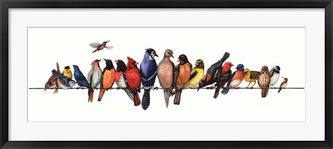 Framed Large Bird Menagerie Print