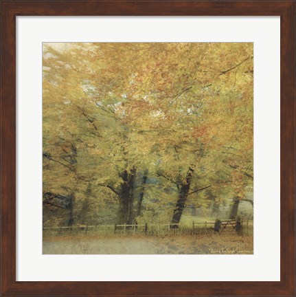 Framed English Countryside I Print