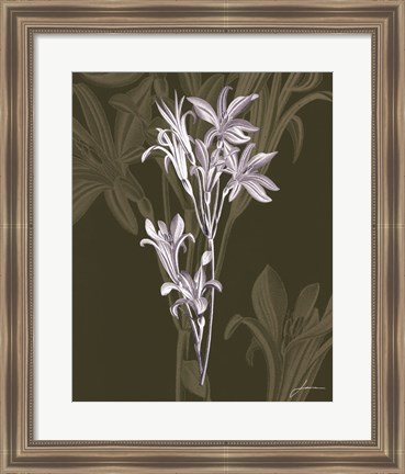 Framed Jewel Stems II Print