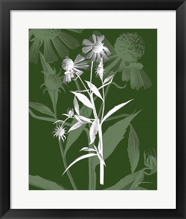 Framed Jewel Stems III Print