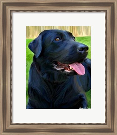 Framed Handsome Lab Print