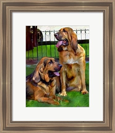 Framed Bloodhounds Print