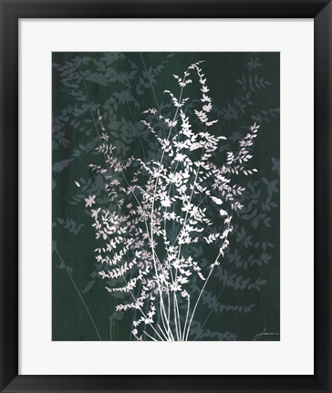 Framed Jewel Ferns II Print