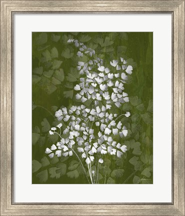 Framed Jewel Ferns III Print