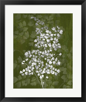 Framed Jewel Ferns III Print