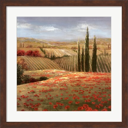 Framed Tuscan Cypress II Print