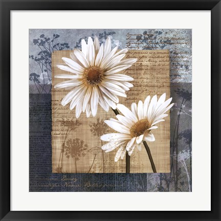 Framed Daisy Field II Print