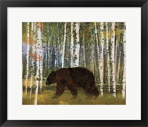 Framed Bear Print