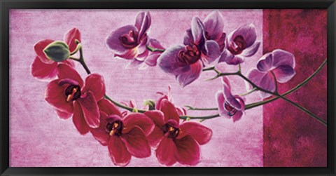 Framed Composizione di orchidee Print