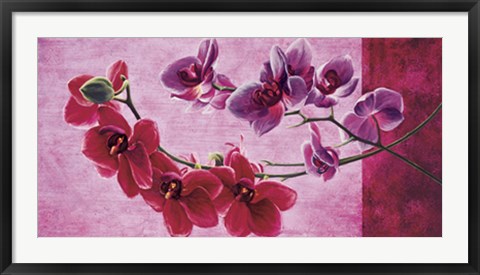 Framed Composizione di orchidee Print