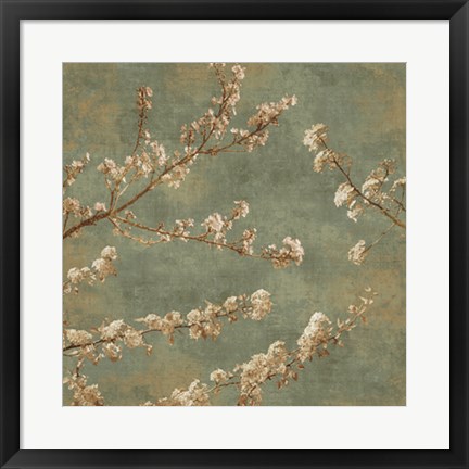 Framed Morning Blossom II Print